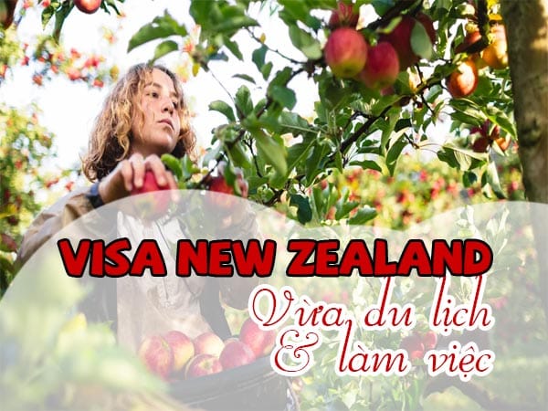 Dịch vụ Visa working holiday New Zealand
