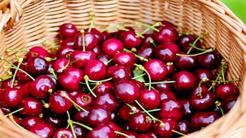 Trong các loại trái cây nhập khẩu Cherry Úc người dân Việt rất ưu chuộng