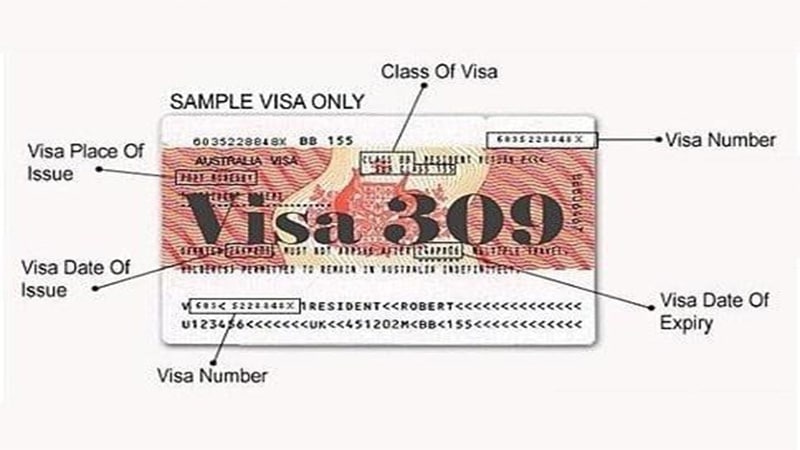 Hình ảnh chi tiết thông tin Visa 309