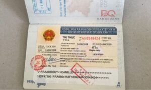 Visa VR là gì?