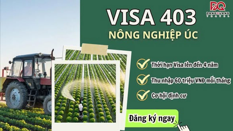 dich-vu-lam-visa-403