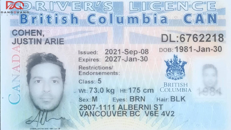 doi-bang-lai-xe-canada-sang-viet-nam-2