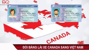 doi-bang-lai-xe-canada-sang-viet-nam