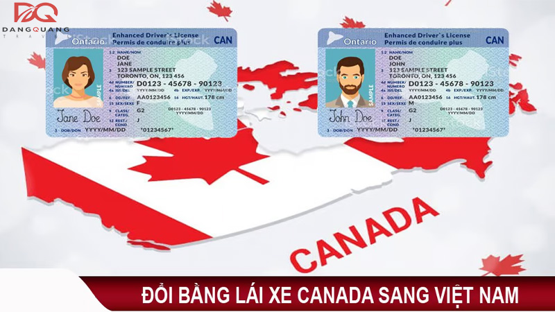 doi-bang-lai-xe-canada-sang-viet-nam
