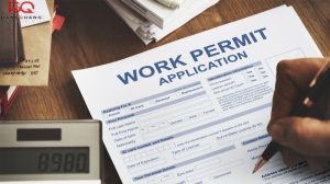 xin-work-permit-canada-mat-bao-lau