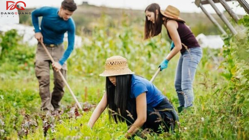 Tìm hiểu chương trình visa nông nghiệp úc mới nhất 2026 8 Tìm hiểu chương trình visa nông nghiệp úc mới nhất 2026