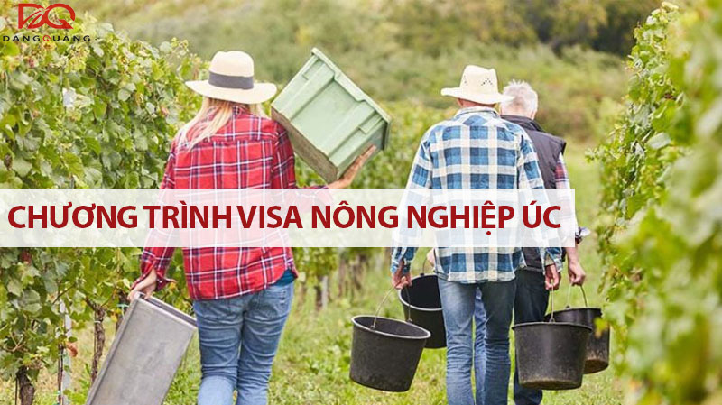 Tìm hiểu chương trình visa nông nghiệp úc mới nhất 2026 5 Tìm hiểu chương trình visa nông nghiệp úc mới nhất 2026