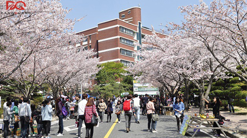 Thủ tục làm hồ sơ du học Hàn Quốc từ A - Z năm 2026 12 Thủ tục làm hồ sơ du học Hàn Quốc từ A - Z năm 2026