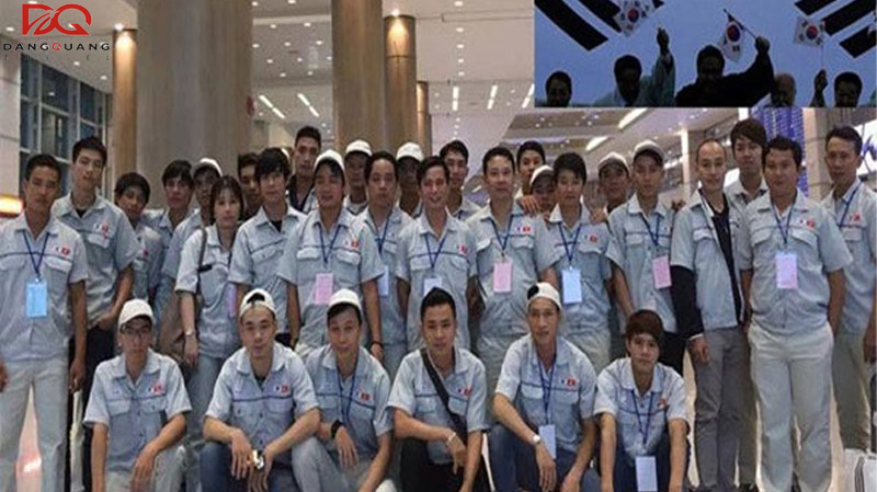 Điều kiện, Thủ tục hồ sơ và chi phí visa E7 Hàn Quốc 2026 11 Điều kiện, Thủ tục hồ sơ và chi phí visa E7 Hàn Quốc 2026